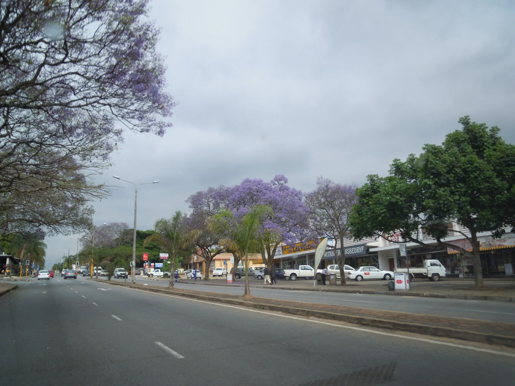 A tree-lined street and shops in White River, Mpumalanga